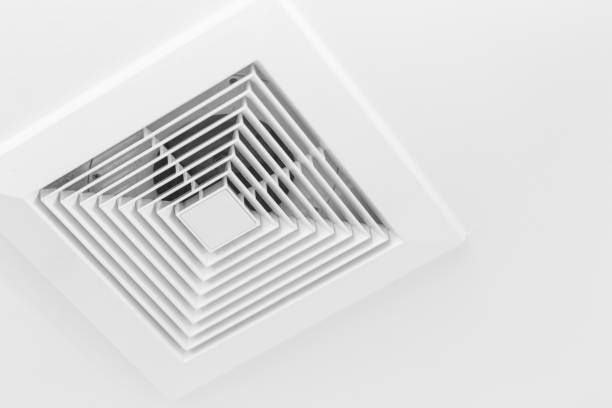 Best Air Vent Cleaning Services  in East Grand Rapids, MI